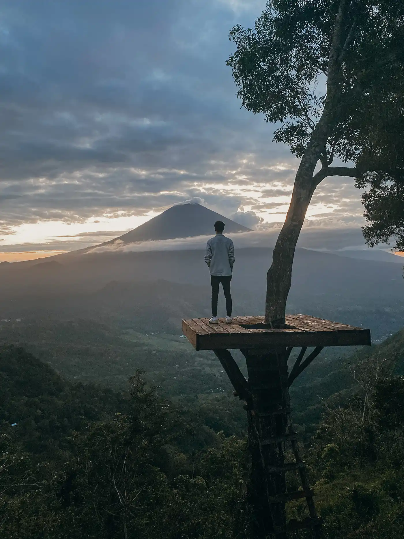 A lookout point over a misty landscape
